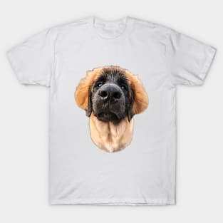 Leonberger Puppy Dog T-Shirt